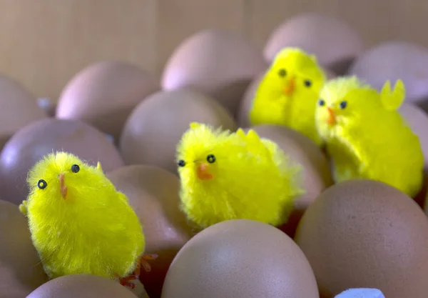 Trois Poulets Jouets Entre Les Œufs Dans Emballage — Photo