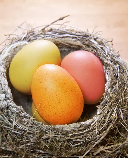 Jasne Wielkanoc Jaja Gnieździe — Zdjęcie stockowe