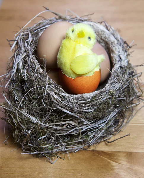 Speelgoed Kip Zit Een Nest Paaseieren — Stockfoto