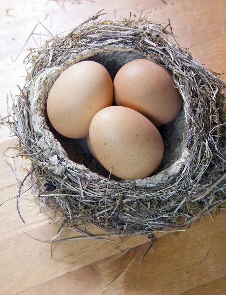 Πασχαλινά Αυγά Φωλιά — Φωτογραφία Αρχείου