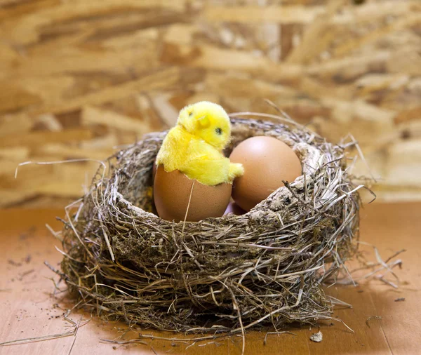 卵と巣の中の卵の殻でグッズ チキン — ストック写真