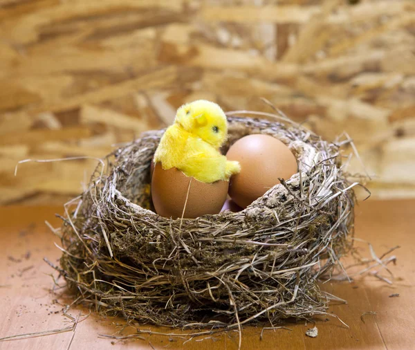 Juguete Pollo Una Cáscara Huevo Nido Con Huevos — Foto de Stock