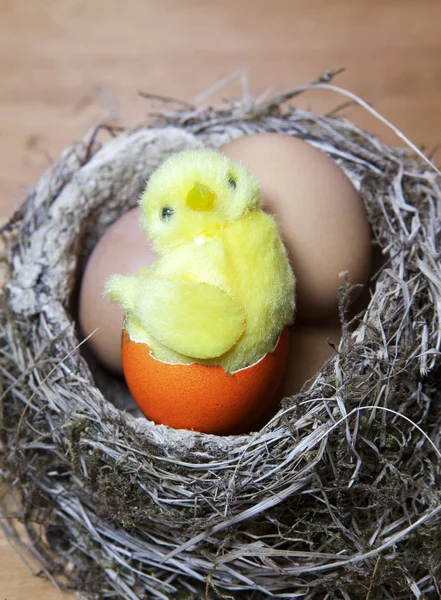 Leksak Kyckling Sitter Ett Fågelbo Påskägg — Stockfoto