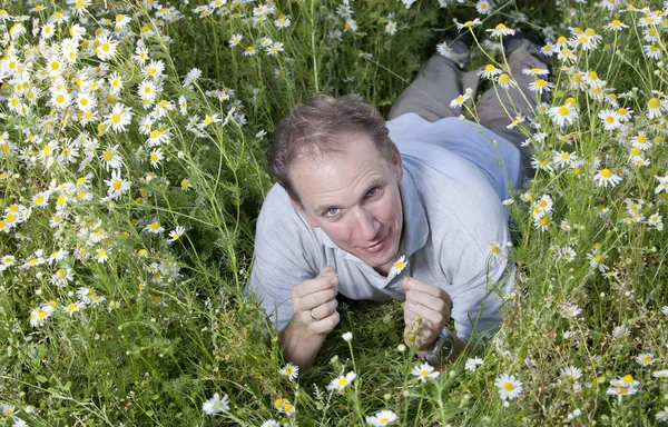 Young Man Field Camomiles Guesses Camomile — Stock Photo, Image