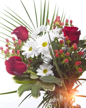 Parlak bouque beyaz bir arka plan üzerinde kapat