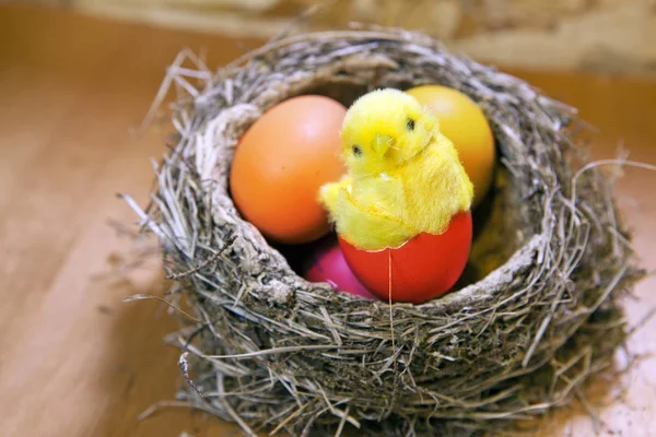 Toy Chicken Shell Bright Easter Egg Nest Eggs — Stock Photo, Image