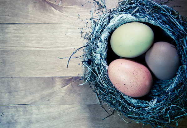 bright Easter eggs in a nest,with effect retro