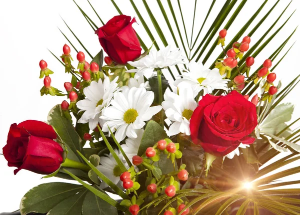 Bright Bouquet Chamomiles Rose — Stock Photo, Image