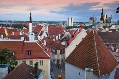 Eski kentin çatıları sabah görünümü. Tallinn. Estonya