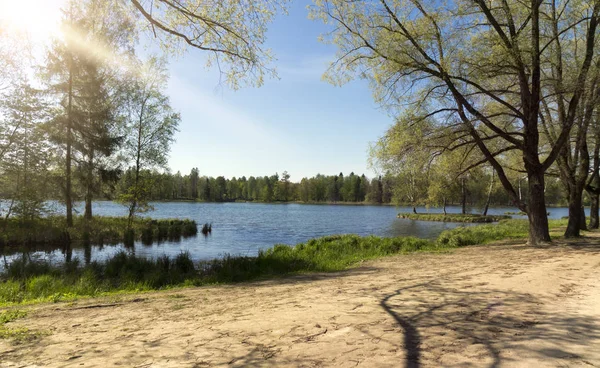 Sandstraße Und Küste Des Waldsees — Stockfoto