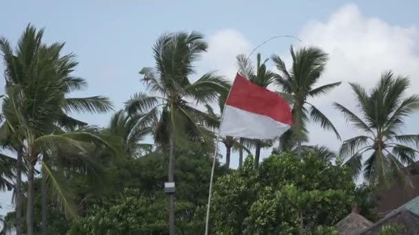 Indonézia zászlaja alakul ki, a szél a trópusi tengerparton a pálmafák a háttérben — Stock videók