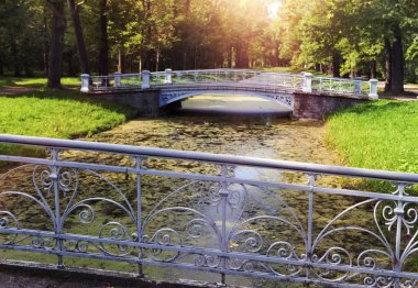 bir duckweed ile büyümüş kanal üzerinde köprü. Catherine Park. Puşkin (Tsarskoye Selo). Petersbur