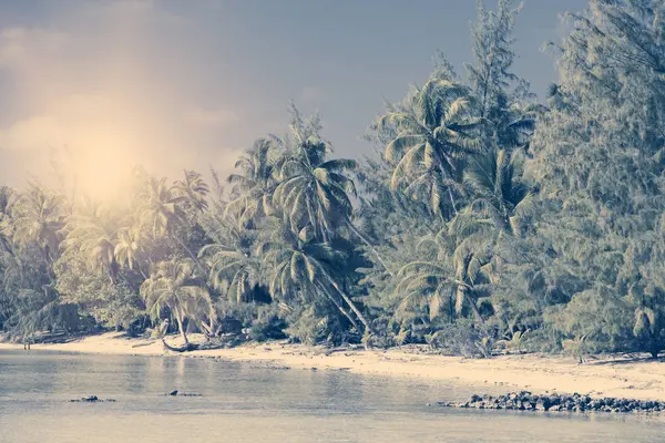 Die Insel Mit Palmen Ozean Jahrgang — Stockfoto