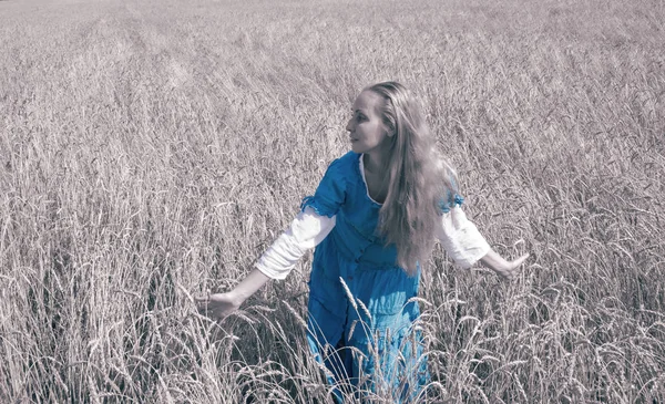 Beautiful Woman Blue Long Dress Field Ripe Cereals Toning — Stock Photo, Image