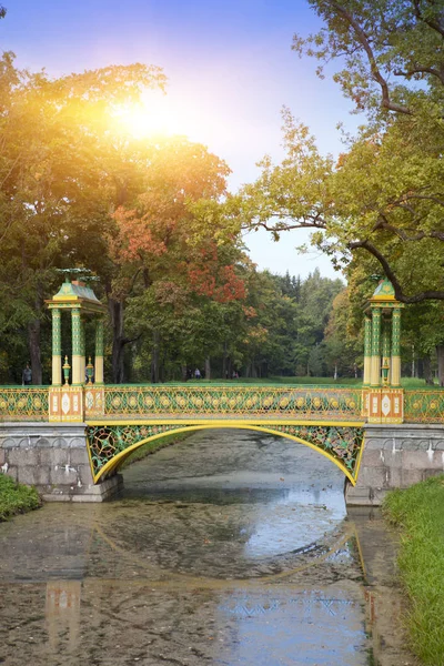 Die Brücke Über Den Kanal Die Von Wasserlinsen Überwuchert Ist — Stockfoto