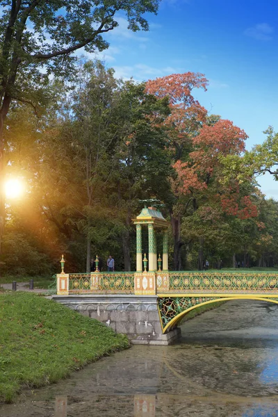 Híd Csatorna Békalencse Növényekkel Catherine Park Puskin Exhumálták Petersburg — Stock Fotó