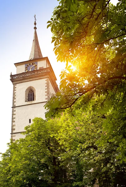 Martinskirche 1613 Metzinger Německo — Stock fotografie