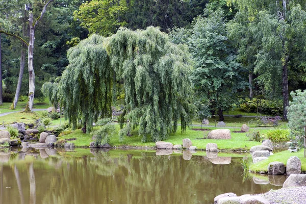 Jardim Japonês Parque Kadriorg Tallinn Estónia — Fotografia de Stock