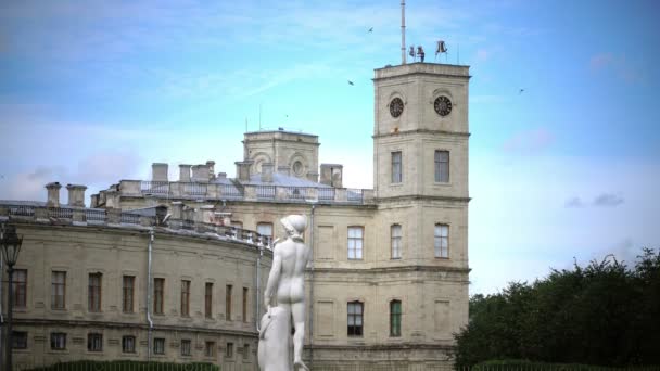 El gran palacio de Gatchina en el parque de Gatchina en verano día soleado — Vídeos de Stock