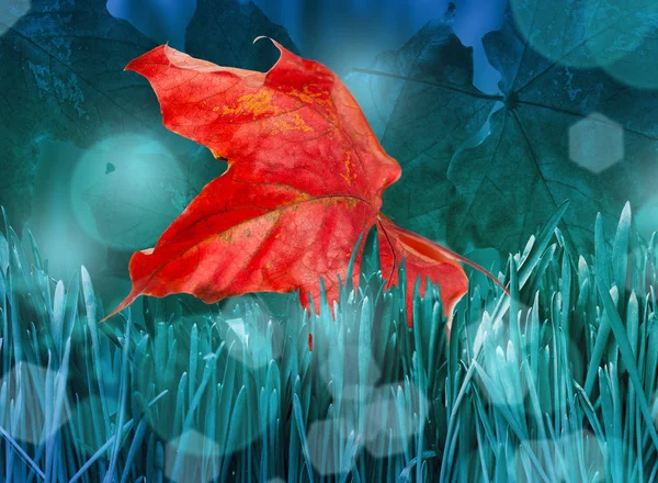 Krásná Detailní Červené Podzimní Javorový List Trávě Pěkný Bokeh Rozostřeného — Stock fotografie