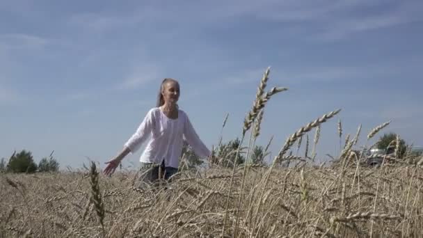 Jonge slanke vrouw met een lange eerlijke haren in een wit shirt en spijkerbroek gaat over het veld van rijpe tarwe naar zonnige zomerdag — Stockvideo