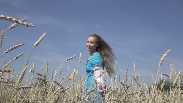 Szczęśliwa młoda kobieta smukła z długie jasne włosy w niebieskiej sukience obraca się w polu dojrzałej pszenicy w słoneczny letni dzień. Zwolnionym tempie — Wideo stockowe