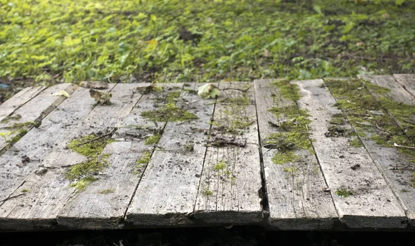 Dřevěné Desky Leží Řadě Podzimním Parku Malá Hloubka Ostrosti — Stock fotografie