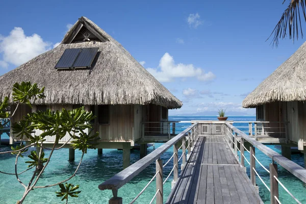 Dřevěné Lávky Nad Vodou Modrého Tropického Moře Autentických Tradičních Polynéských — Stock fotografie