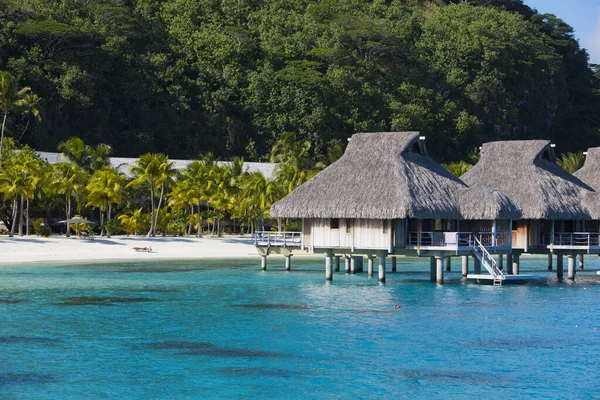 View Blue Tropical Sea Authentic Traditional Polynesian Houses Thatched Roof — Stock Photo, Image