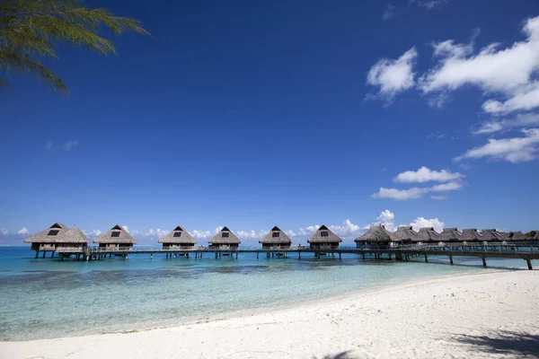 Authentiques Maisons Polynésiennes Traditionnelles Avec Toit Chaume Dessus Eau Mer — Photo