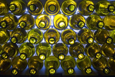 Cam bira şişeleri sıralanmış, boyunları kamerada.