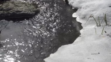 Nehrin kenarında bulunan nehir orman, beyaz karda buzda erime