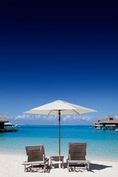 Två Strandstolar Stranden — Stockfoto