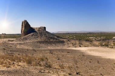 Çöldeki Hurezm 'in antik kalelerinin iskeletleri. Özbekistan