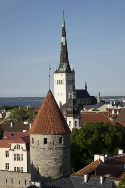 eski kentin çatıları görüntüleyin. Tallinn. Estonya.