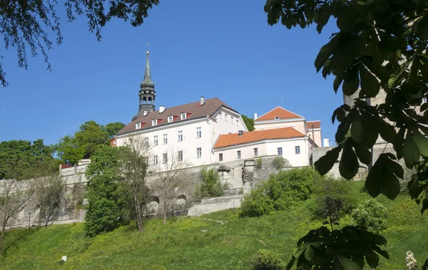 Vista Las Casas Colina Toompea Ciudad Vieja Tallin Estonia — Foto de Stock