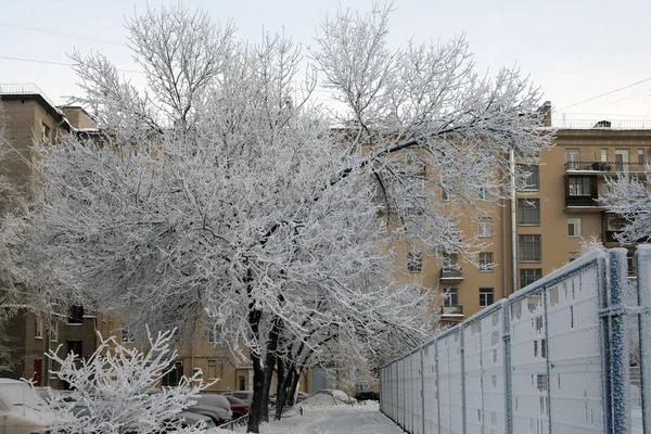 篮球场在雪地下的城市庭院里 被白雪覆盖着 圣彼得堡 俄罗斯 — 图库照片