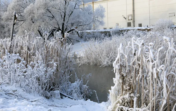 Rivier Winter Winkels Sneeuw Stoom Uit Het Water — Stockfoto