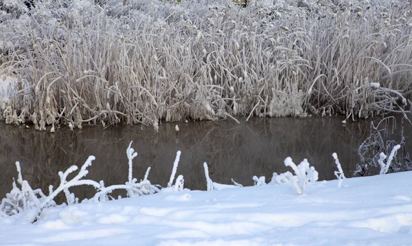 Rivière Hiver Les Rivages Dans Neige Vapeur Eau — Photo