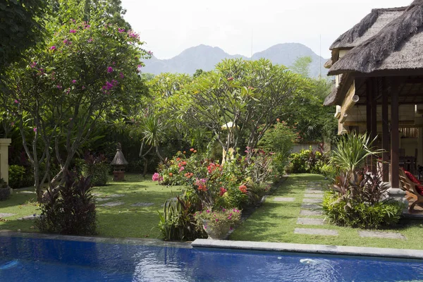 Jardín Tropical Con Piscina Montañas Horizonte Bali — Foto de Stock