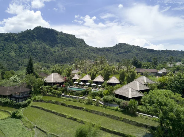 Campi Riso Fronte Alle Capanne Bali Giungla Montagne Vista Drone — Foto Stock