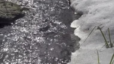 Thawed patch on frozen river. Frozen ice river is melting in spring with ice flakes flowing. Cracked ice floating on the river in spring time. Global warming