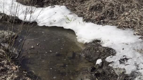 Parche descongelado en el río congelado. El río helado se derrite en primavera con escamas de hielo fluyendo. Hielo agrietado flotando en el río en primavera. Calentamiento global, disparo en 4K UHD — Vídeos de Stock