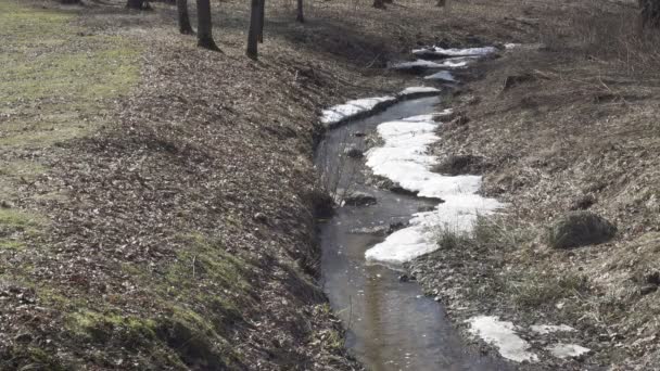 Spring rivier met ijs en sneeuw. Mooie bevroren beek met waterplons, Schot in 4k Uhd — Stockvideo