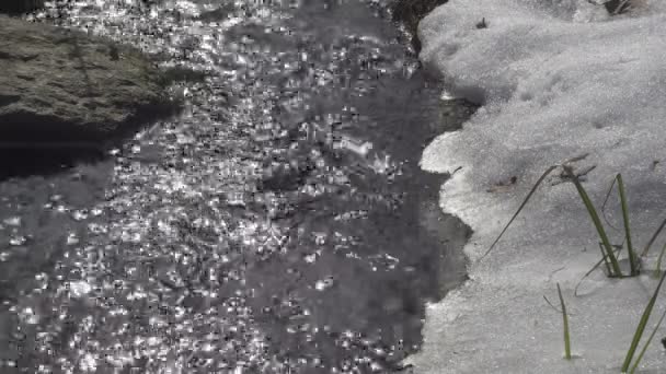 Parche descongelado en el río congelado. El río helado se derrite en primavera con escamas de hielo fluyendo. Hielo agrietado flotando en el río en primavera. Calentamiento global — Vídeos de Stock