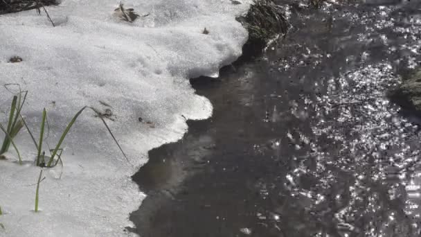 Gros plan du ruisseau, cascade de la rivière dans la forêt au printemps avec des rochers et neige.Tourné en 4K UHD — Video