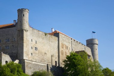 Uzun boylu Hermann - Toompea Castle Toompea tepe üzerinde bir kule. Tallinn, Estonya