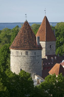 Ortaçağ kule - duvar parçası. Tallinn, Estonya