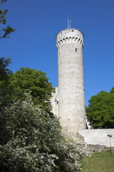 Tall Hermann Tower Toompea Castle Toompea Hill Tallinn Estonia — Stock Photo, Image