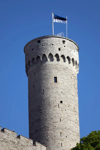 Tall Hermann Tower Toompea Castle Toompea Hill Tallinn Estonia — Stock Photo, Image